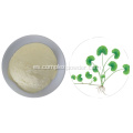 Polvo de centella asiatica soluble en agua 100% natural